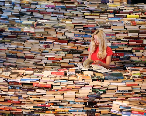 Brazilian Artists Create Labyrinth Using 250,000 Books