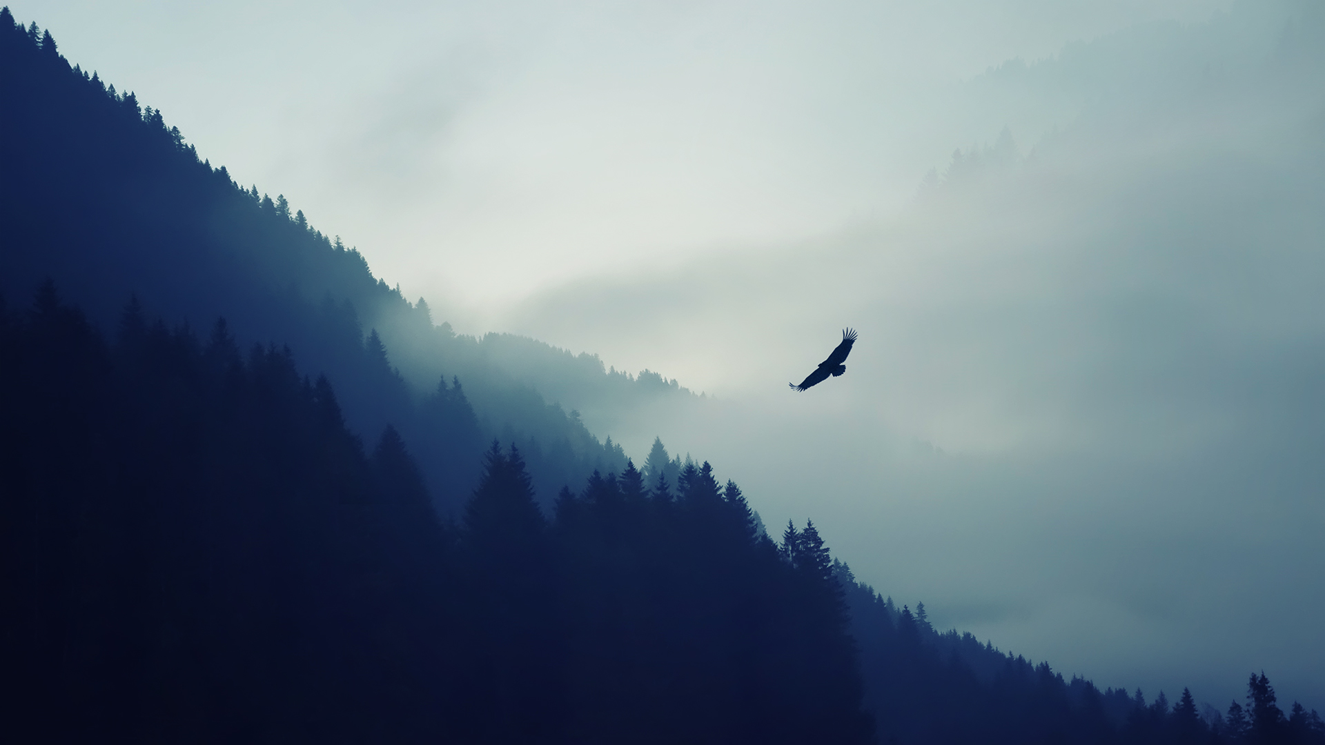 eagle-flying-silhouette-wallpaper-2
